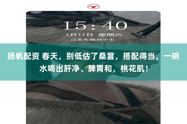 扬帆配资 春天，别低估了桑葚，搭配得当，一碗水喝出肝净、脾胃和，桃花肌！