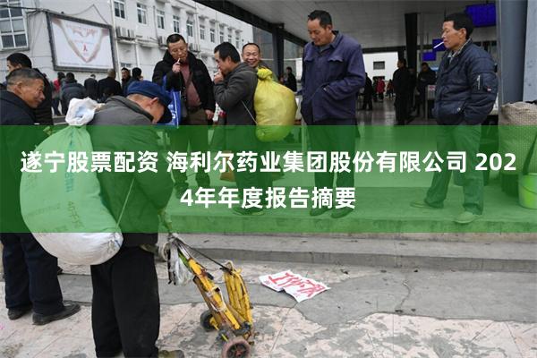 遂宁股票配资 海利尔药业集团股份有限公司 2024年年度报告摘要