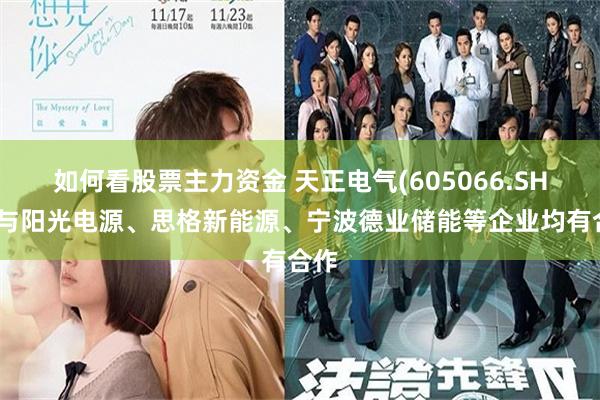 如何看股票主力资金 天正电气(605066.SH)：与阳光电源、思格新能源、宁波德业储能等企业均有合作