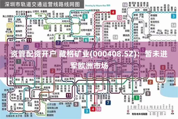 资管配资开户 藏格矿业(000408.SZ)：暂未进军欧洲市场