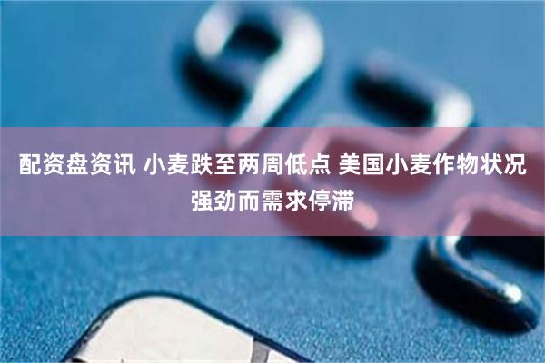配资盘资讯 小麦跌至两周低点 美国小麦作物状况强劲而需求停滞