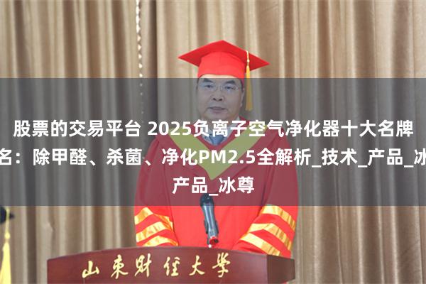 股票的交易平台 2025负离子空气净化器十大名牌排名：除甲醛、杀菌、净化PM2.5全解析_技术_产品_冰尊