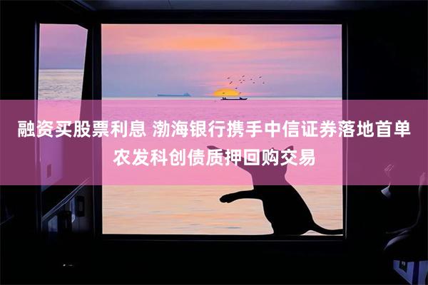融资买股票利息 渤海银行携手中信证券落地首单农发科创债质押回购交易