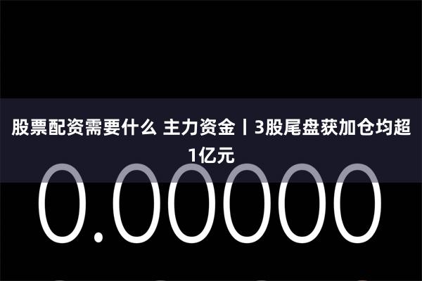 股票配资需要什么 主力资金丨3股尾盘获加仓均超1亿元