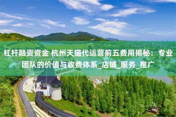 杠杆融资资金 杭州天猫代运营前五费用揭秘：专业团队的价值与收费体系_店铺_服务_推广