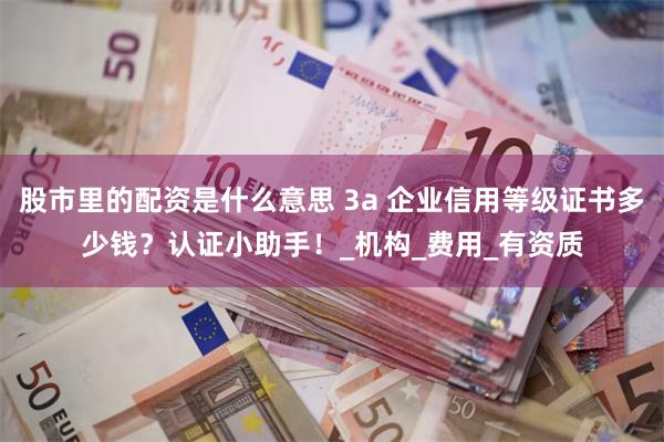 股市里的配资是什么意思 3a 企业信用等级证书多少钱？认证小助手！_机构_费用_有资质