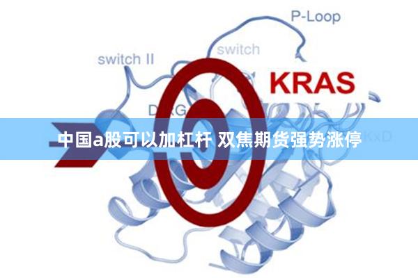 中国a股可以加杠杆 双焦期货强势涨停