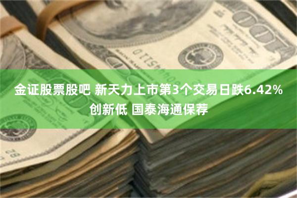 金证股票股吧 新天力上市第3个交易日跌6.42%创新低 国泰海通保荐