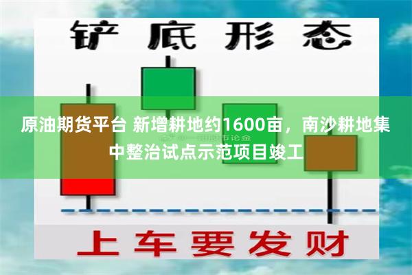 原油期货平台 新增耕地约1600亩，南沙耕地集中整治试点示范项目竣工