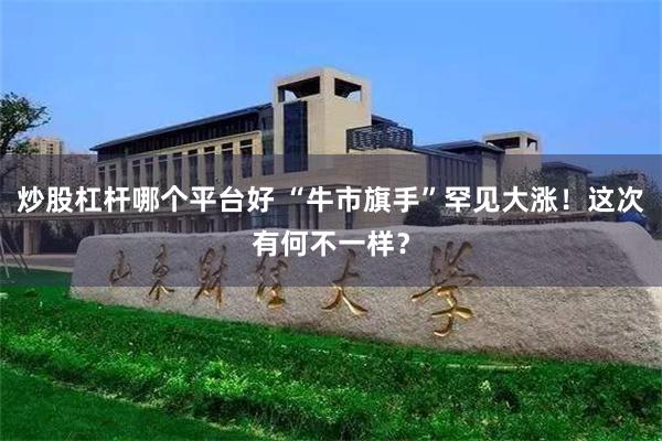 炒股杠杆哪个平台好 “牛市旗手”罕见大涨！这次有何不一样？