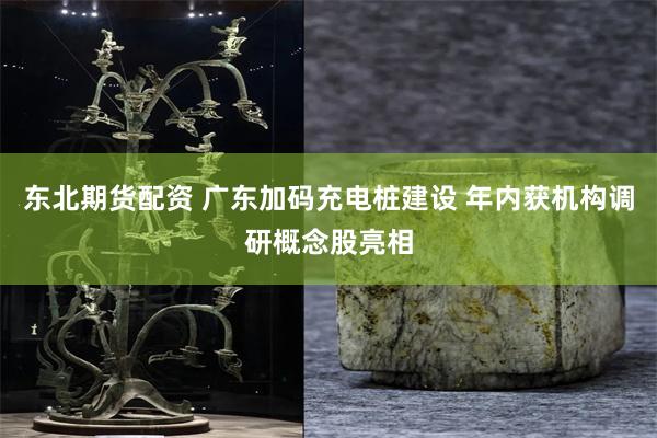 东北期货配资 广东加码充电桩建设 年内获机构调研概念股亮相
