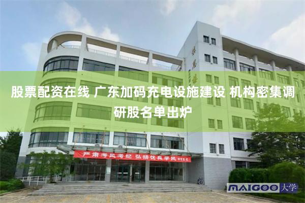 股票配资在线 广东加码充电设施建设 机构密集调研股名单出炉