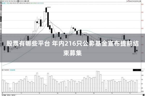 股票有哪些平台 年内216只公募基金宣布提前结束募集