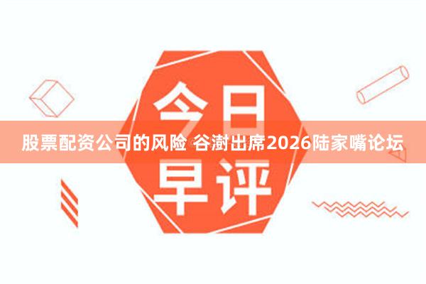 股票配资公司的风险 谷澍出席2026陆家嘴论坛