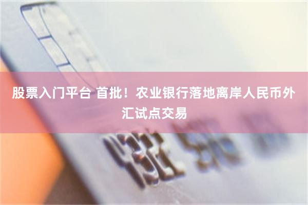 股票入门平台 首批！农业银行落地离岸人民币外汇试点交易