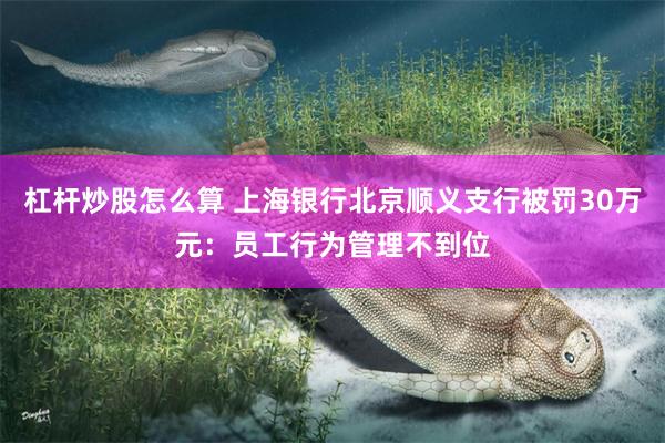 杠杆炒股怎么算 上海银行北京顺义支行被罚30万元：员工行为管理不到位