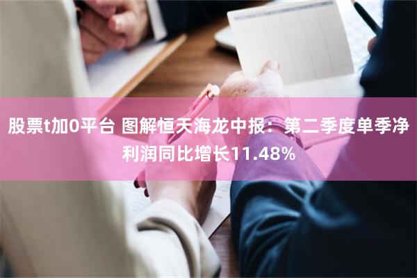 股票t加0平台 图解恒天海龙中报：第二季度单季净利润同比增长11.48%