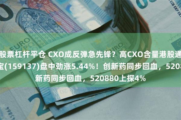 股票杠杆平仓 CXO成反弹急先锋？高CXO含量港股通医疗ETF华宝(159137)盘中劲涨5.44%！创新药同步回血，520880上探4%
