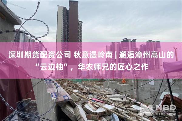 深圳期货配资公司 秋意漫岭南 | 邂逅漳州高山的“云边柚”，华农师兄的匠心之作