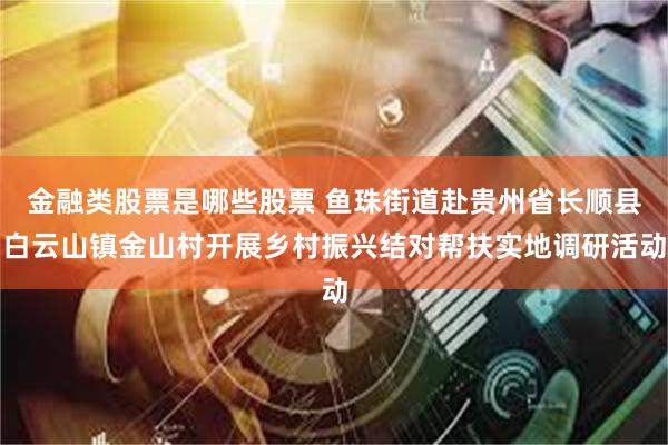 金融类股票是哪些股票 鱼珠街道赴贵州省长顺县白云山镇金山村开展乡村振兴结对帮扶实地调研活动