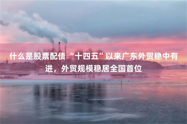 什么是股票配债 “十四五”以来广东外贸稳中有进，外贸规模稳居全国首位
