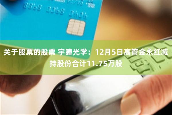 关于股票的股票 宇瞳光学：12月5日高管金永红减持股份合计11.75万股