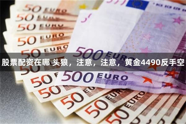 股票配资在哪 头狼，注意，注意，黄金4490反手空
