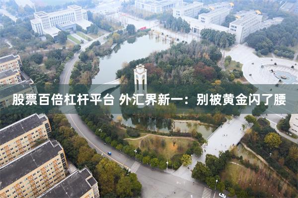 股票百倍杠杆平台 外汇界新一：别被黄金闪了腰