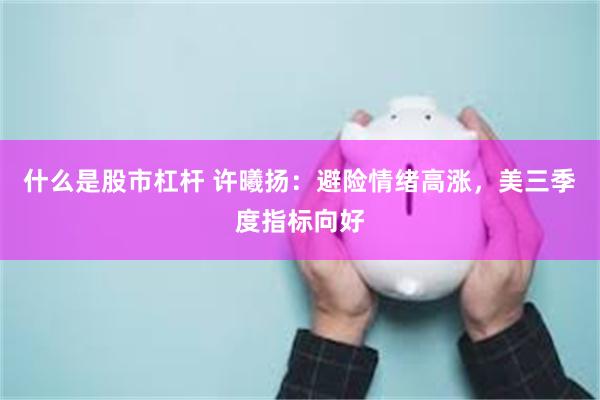 什么是股市杠杆 许曦扬：避险情绪高涨，美三季度指标向好