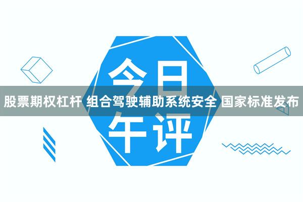 股票期权杠杆 组合驾驶辅助系统安全 国家标准发布