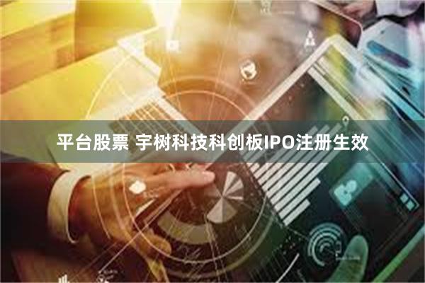 平台股票 宇树科技科创板IPO注册生效