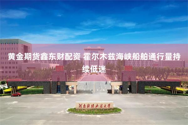 黄金期货鑫东财配资 霍尔木兹海峡船舶通行量持续低迷