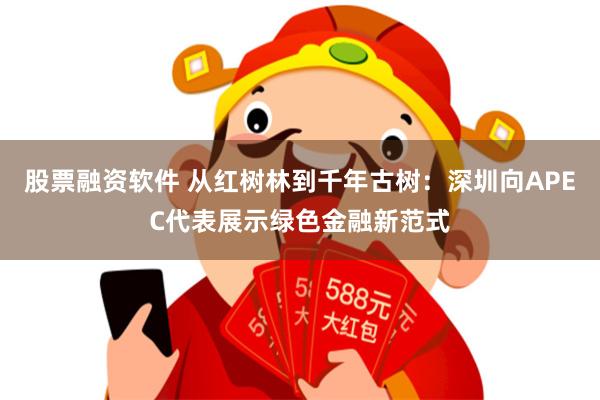 股票融资软件 从红树林到千年古树:深圳向APEC代表展示绿色金融新范式