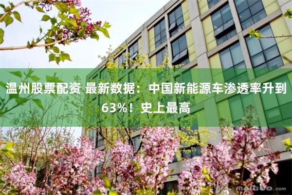 温州股票配资 最新数据：中国新能源车渗透率升到63%！史上最高
