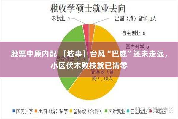股票中原内配 【城事】台风“巴威”还未走远，小区伏木败枝就已清零