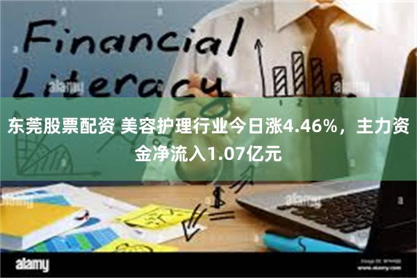 东莞股票配资 美容护理行业今日涨4.46%，主力资金净流入1.07亿元
