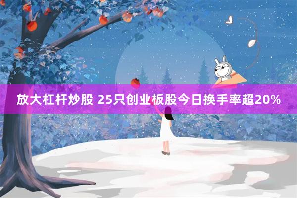 放大杠杆炒股 25只创业板股今日换手率超20%
