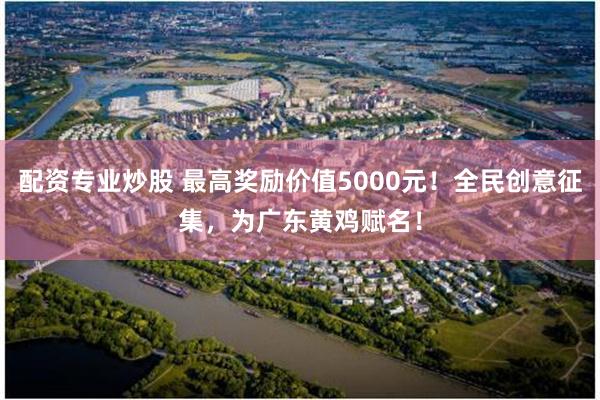 配资专业炒股 最高奖励价值5000元!全民创意征集,为广东黄鸡赋名!