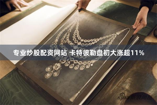 专业炒股配资网站 卡特彼勒盘初大涨超11%