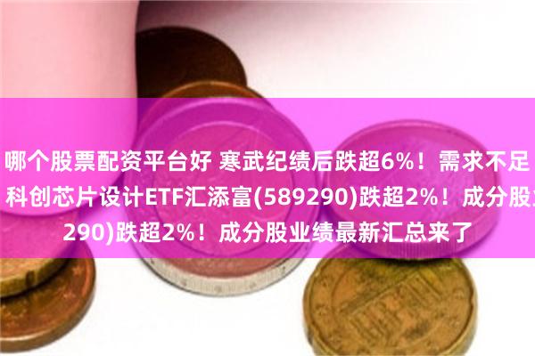哪个股票配资平台好 寒武纪绩后跌超6%！需求不足，还是供给受限？科创芯片设计ETF汇添富(589290)跌超2%！成分股业绩最新汇总来了