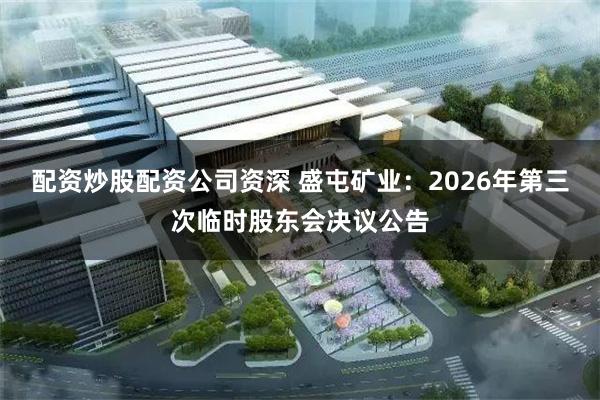 配资炒股配资公司资深 盛屯矿业：2026年第三次临时股东会决议公告
