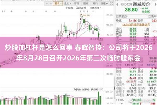 炒股加杠杆是怎么回事 春晖智控：公司将于2026年8月28日召开2026年第二次临时股东会