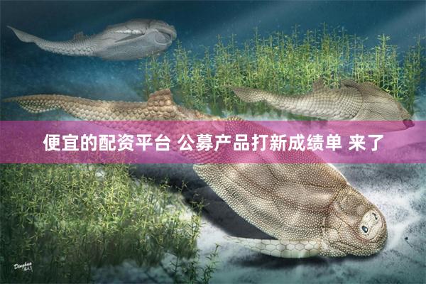 便宜的配资平台 公募产品打新成绩单 来了