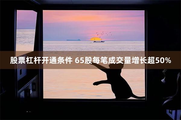 股票杠杆开通条件 65股每笔成交量增长超50%