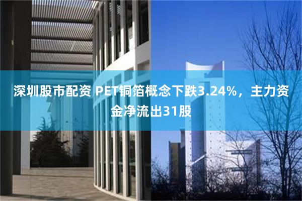 深圳股市配资 PET铜箔概念下跌3.24%,主力资金净流出31股