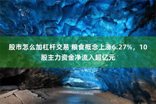 股市怎么加杠杆交易 粮食概念上涨6.27%,10股主力资金净流入超亿元