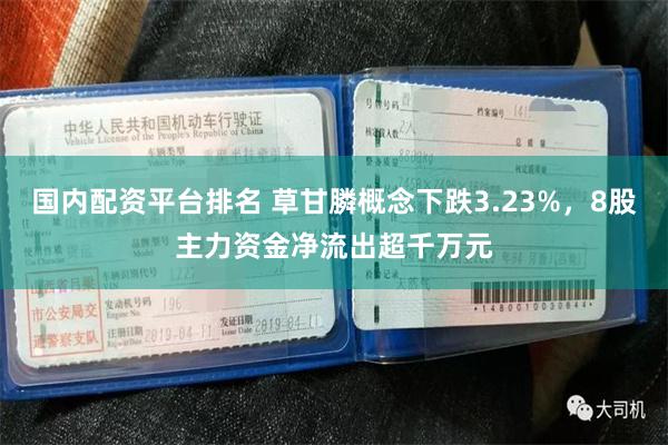 国内配资平台排名 草甘膦概念下跌3.23%，8股主力资金净流出超千万元