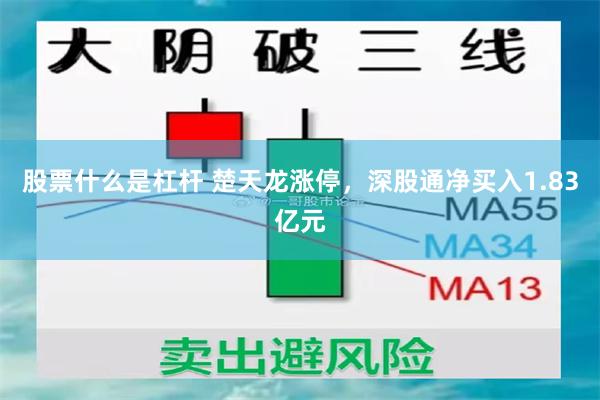 股票什么是杠杆 楚天龙涨停，深股通净买入1.83亿元