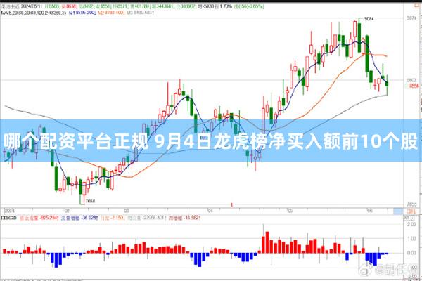 哪个配资平台正规 9月4日龙虎榜净买入额前10个股
