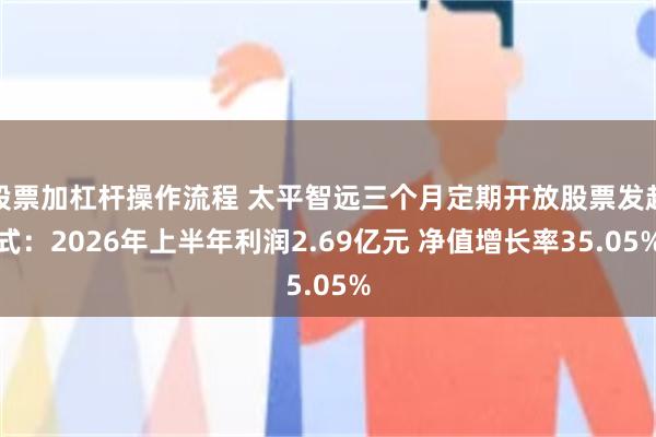 股票加杠杆操作流程 太平智远三个月定期开放股票发起式:2026年上半年利润2.69亿元 净值增长率35.05%